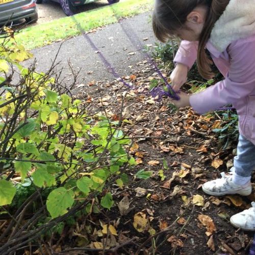 Outdoor Learning Day